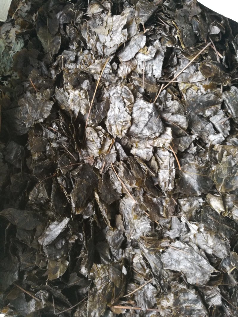 苦丁茶，小叶，苦丁茶老叶，线上交易，有保障。