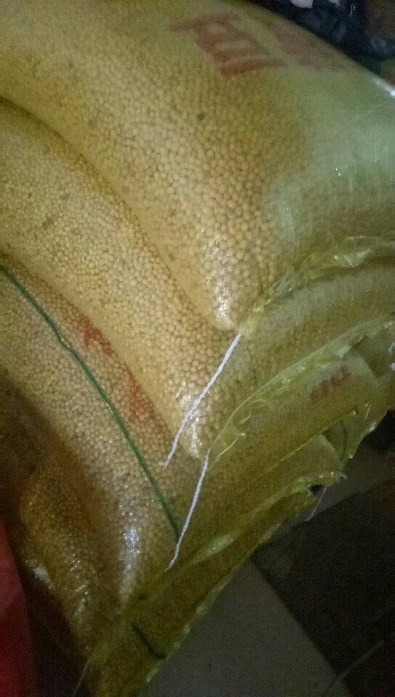 烧烤豆腐片