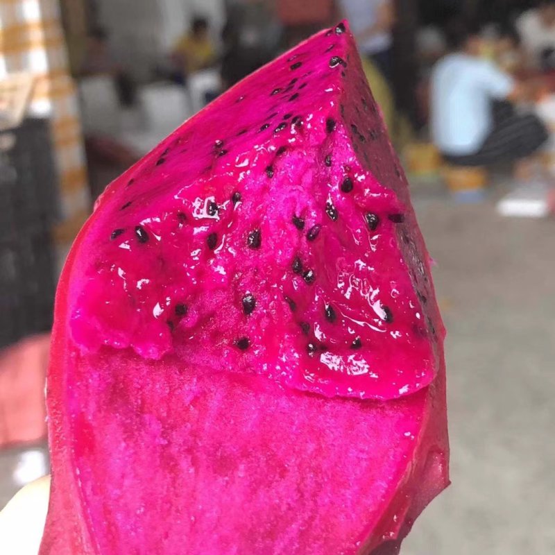 火龙果新鲜水果台湾金都一号红心火龙果海南火龙果大果