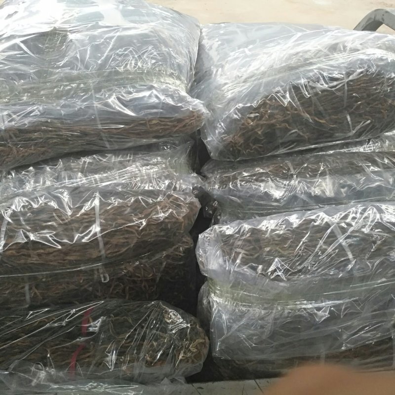新货新货2023新货开售精品干豆角烘干晒干