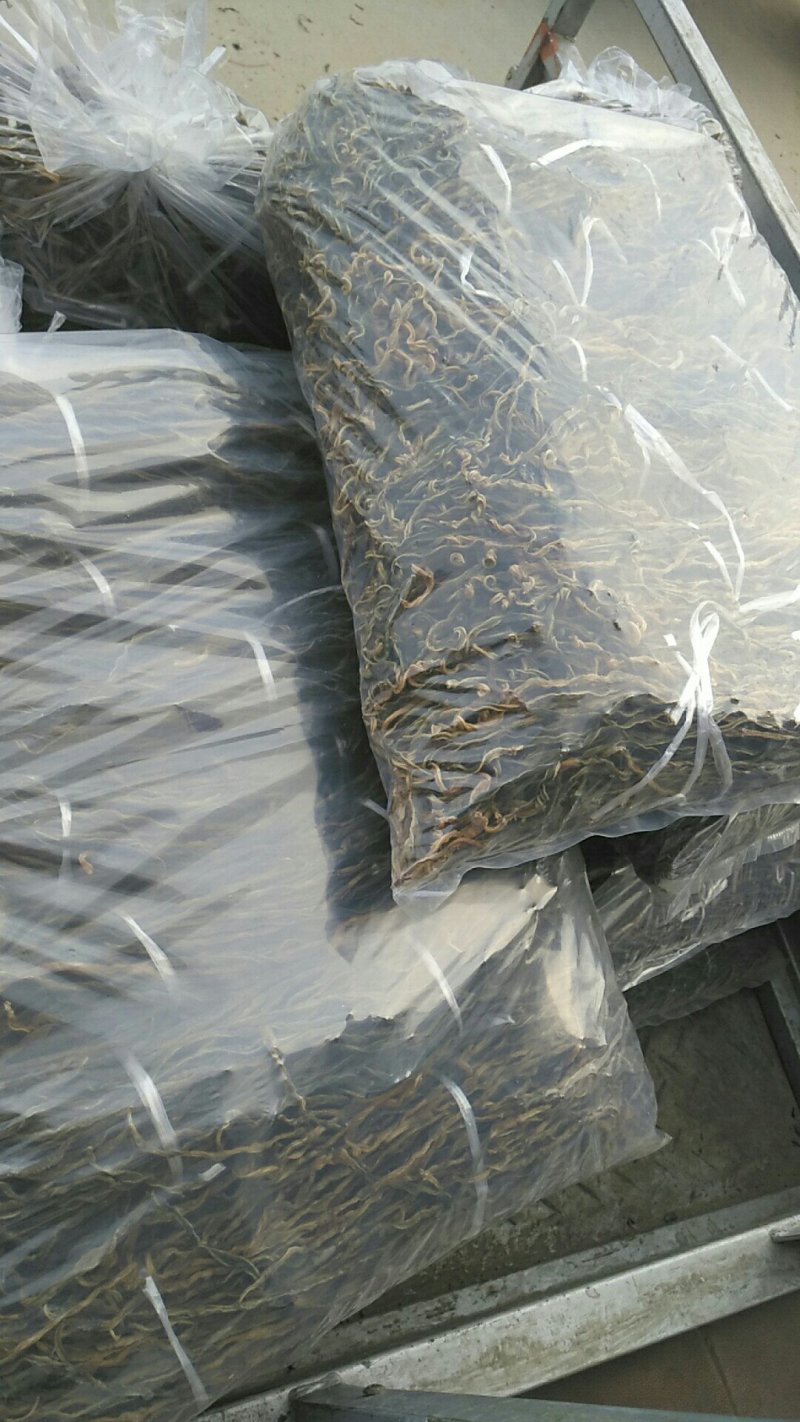 新货新货2023新货开售精品干豆角烘干晒干