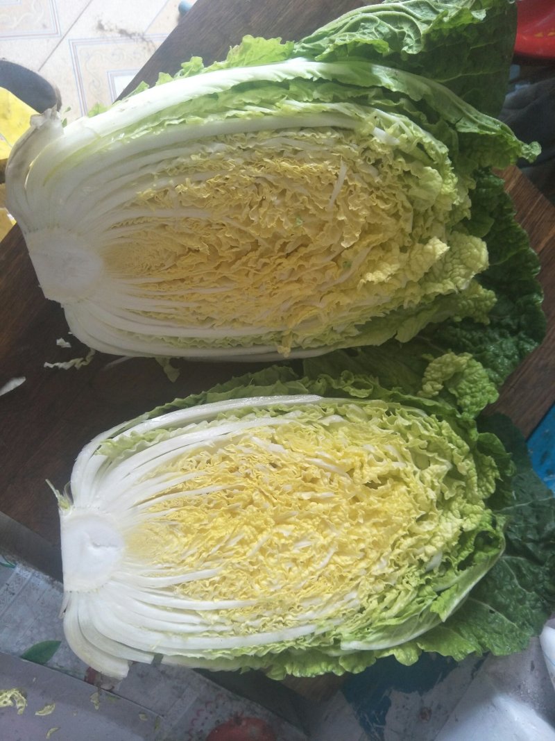 大白菜