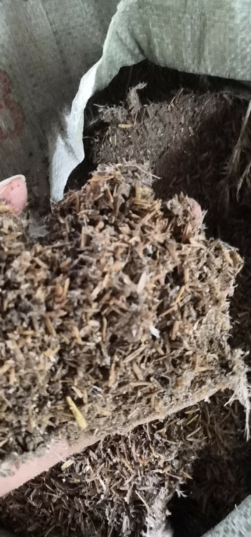 稻壳鸡粪稻壳麻鸡粪鸡粪谷壳鸡粪质优价廉