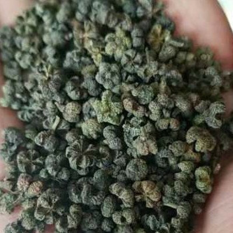 吴茱萸中花小花大花