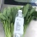 菠菜
