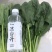 菠菜