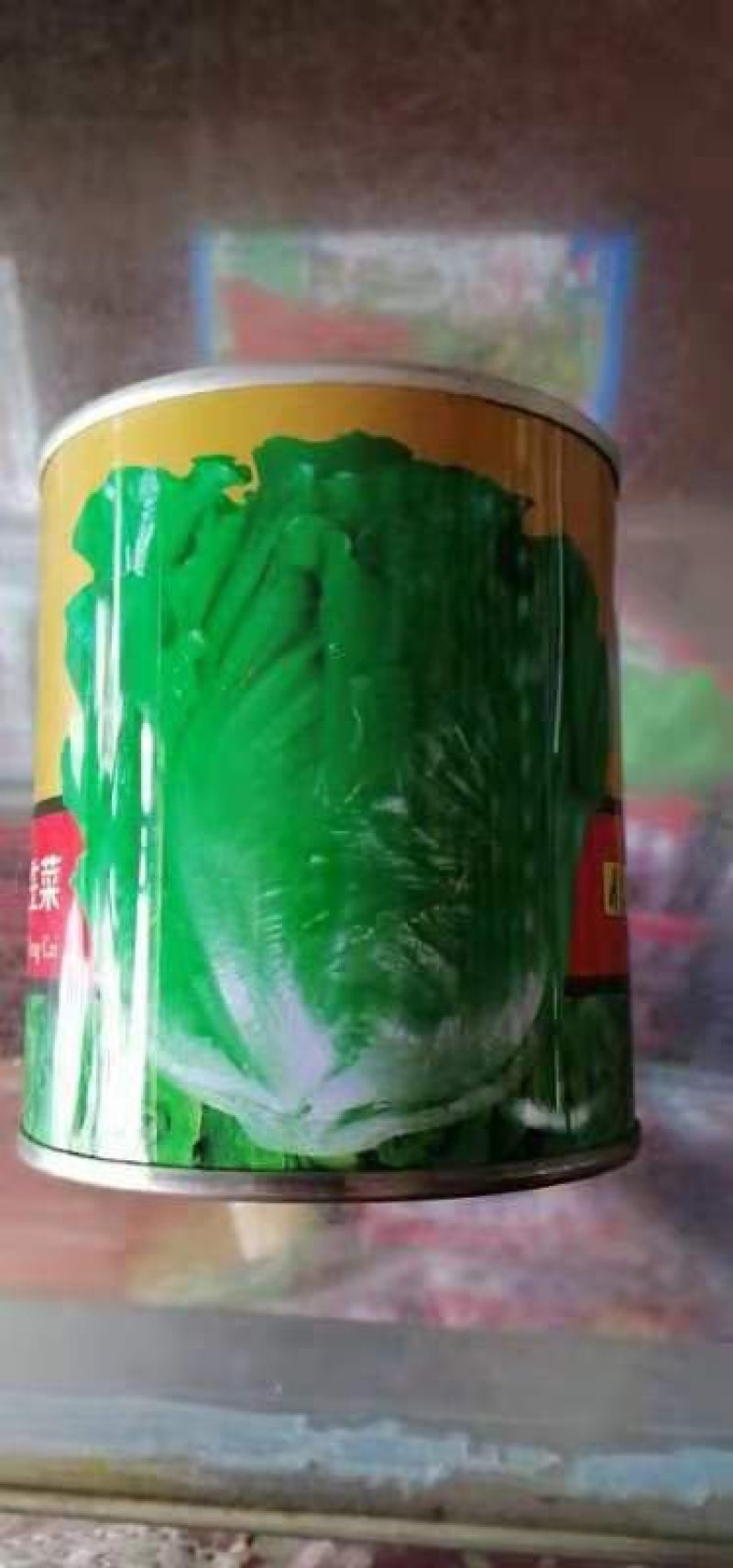 生菜种子耐熱耐抽苔意大利生菜种子叶片油绿