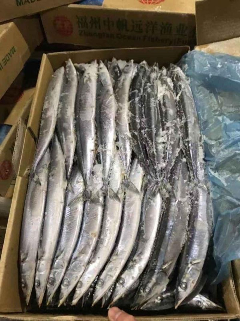 1号9900一吨，2号8900，3号8800刀鱼