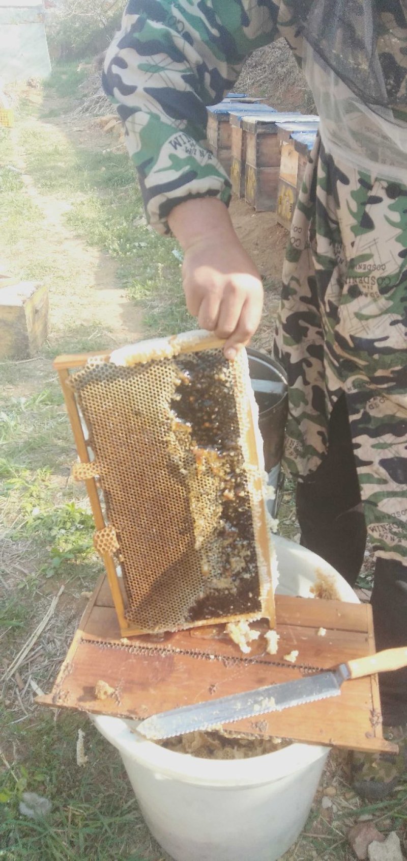自产纯熟蜂蜜