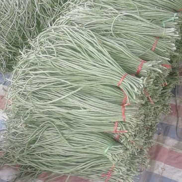 精品豆角