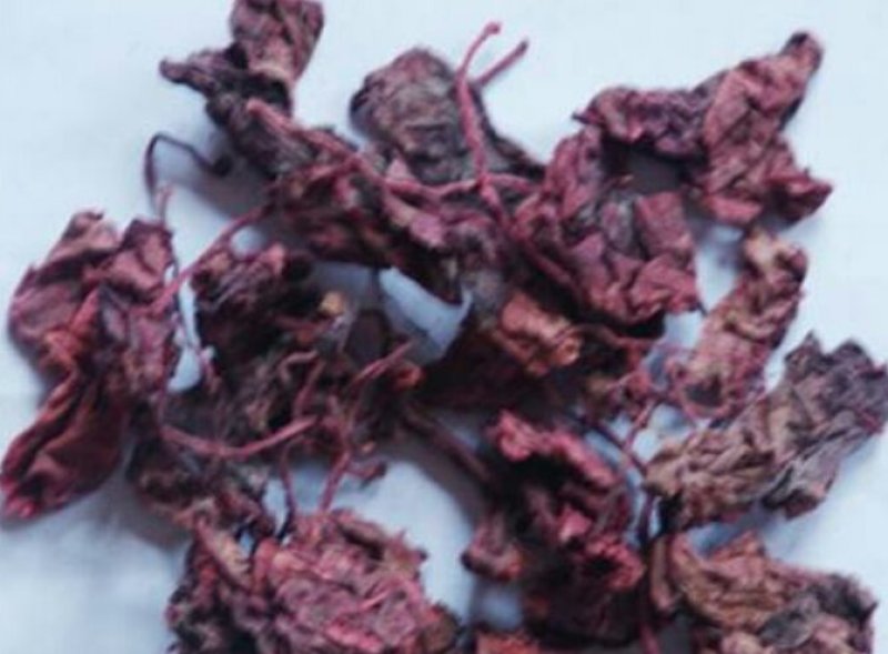 紫背天葵又名红天葵干品新干货干净无杂包邮