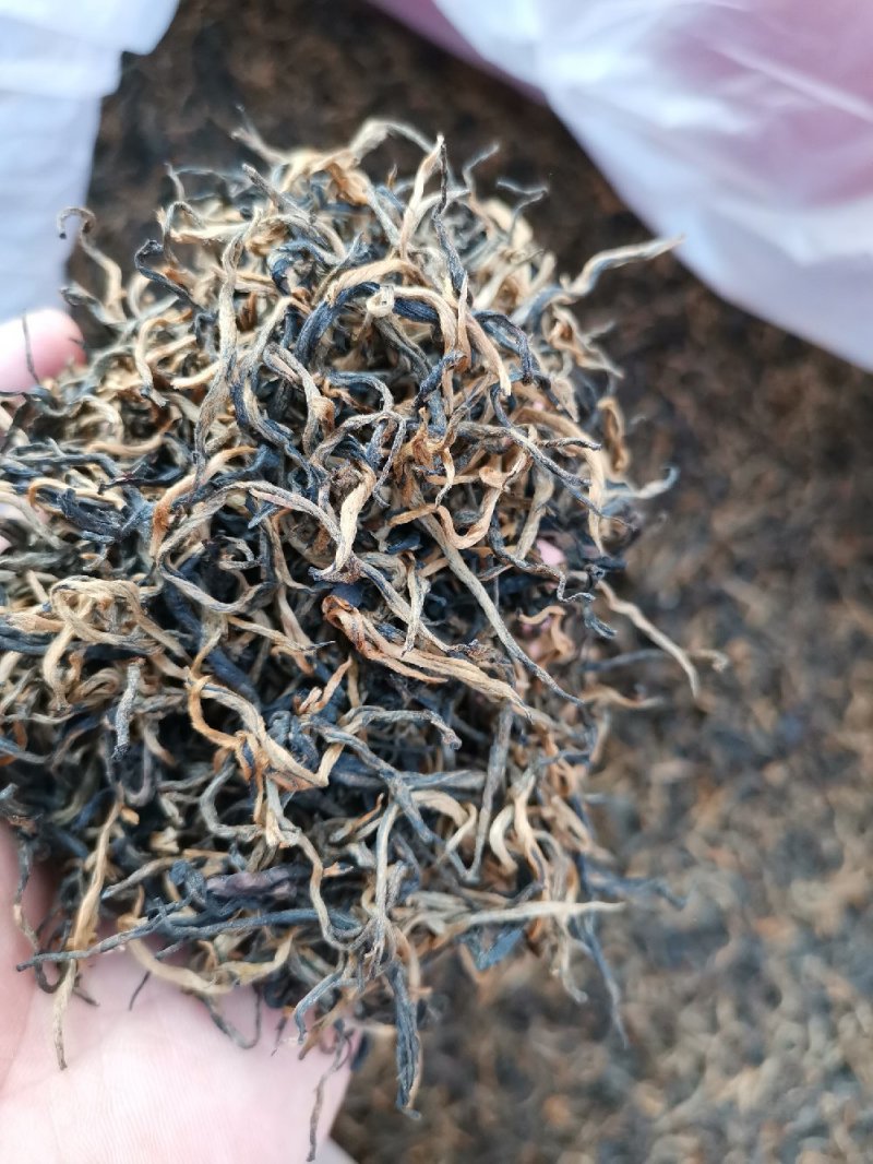 滇红红茶金丝蜜香茶叶一级批发古树厂家