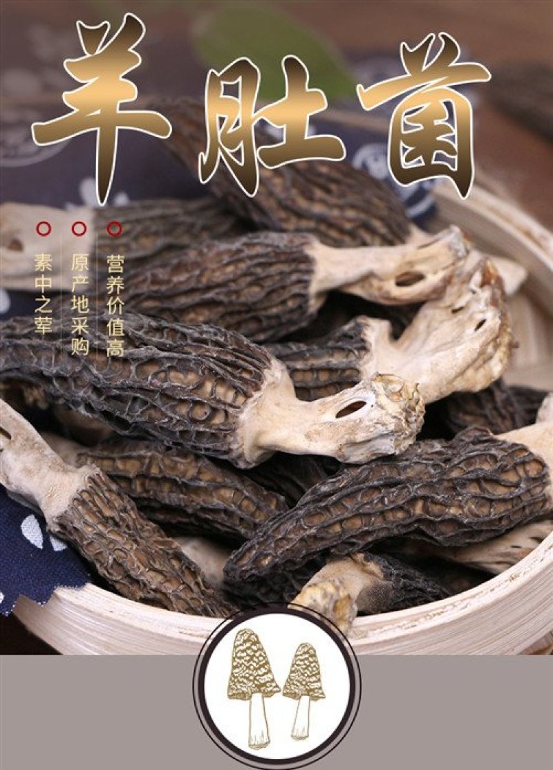 青川羊肚菌110g瓶装逸韵风物