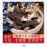 青川羊肚菌110g瓶装逸韵风物