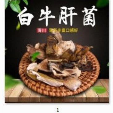 青川野生白牛肝菌180g瓶装逸韵风物