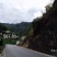 青川野生白牛肝菌180g瓶装逸韵风物