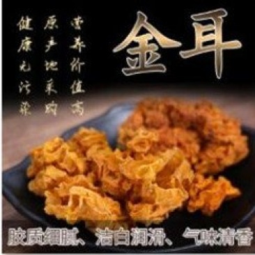 青川椴木金耳250g瓶装逸韵风物