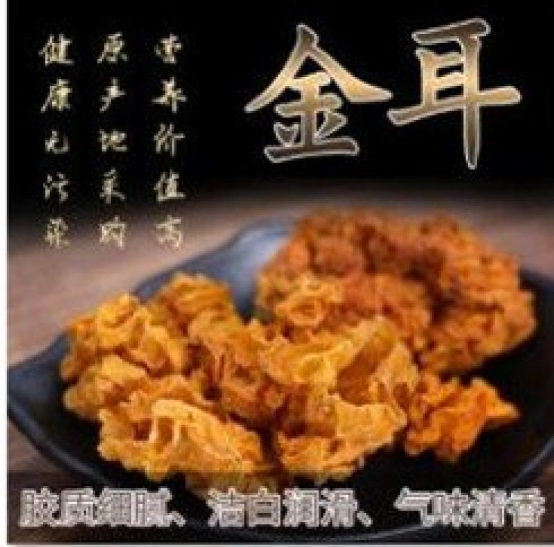 青川椴木金耳250g瓶装逸韵风物