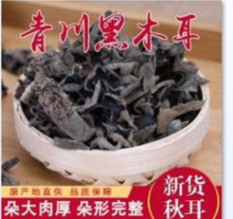 青川椴木黑木耳秋耳150g瓶装逸韵风物