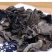 青川椴木黑木耳秋耳150g瓶装逸韵风物