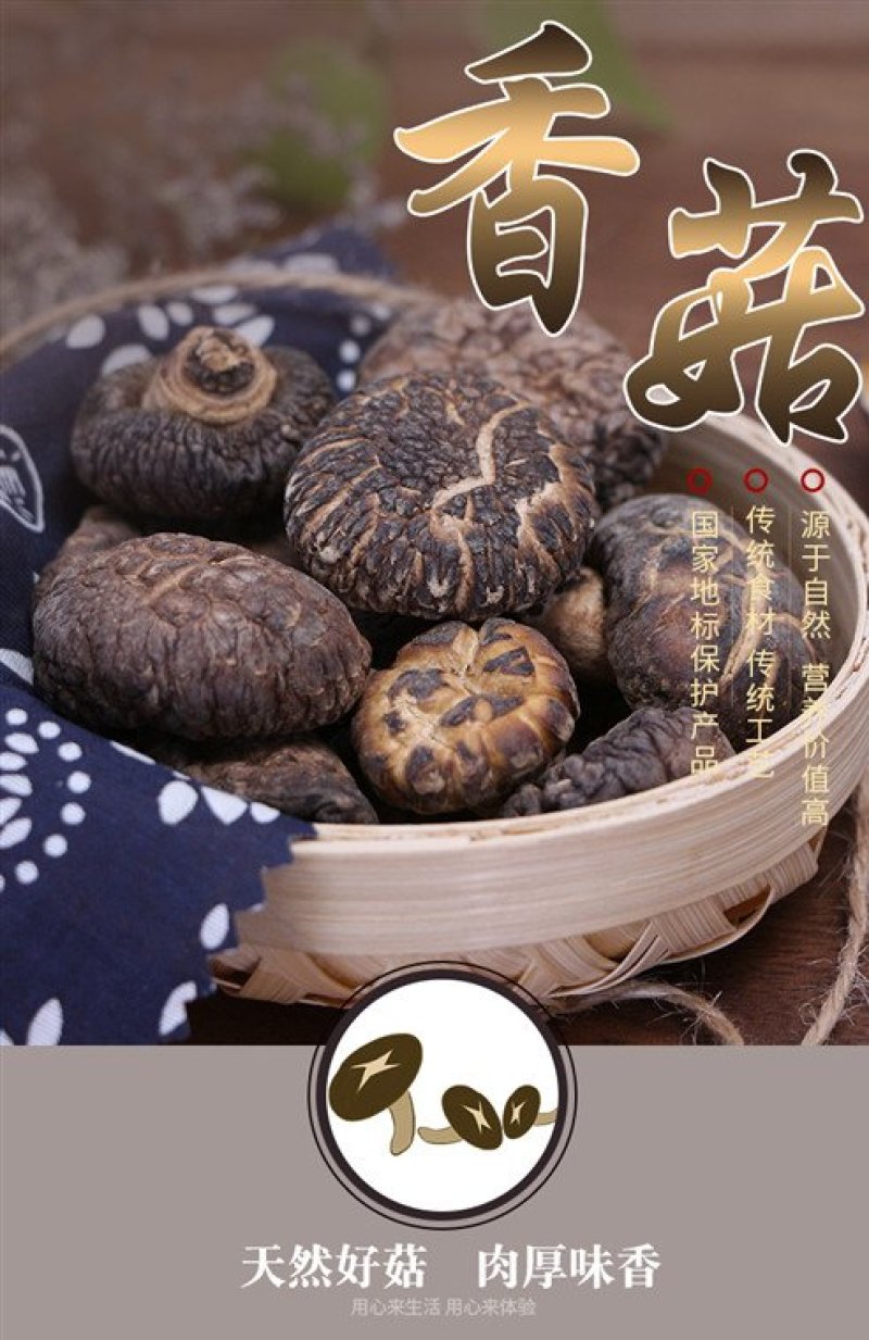 利州香菇椴木花菇240g瓶装逸韵风物