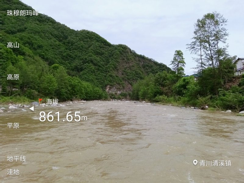青川黑木耳椴木冬耳210g瓶装逸韵风物