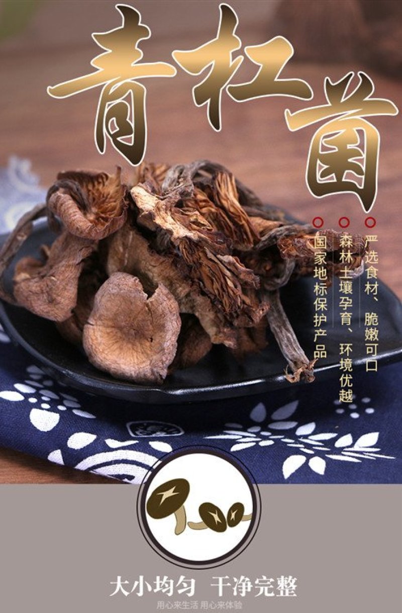 青川野生青杠菌200g瓶装