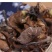 青川野生青杠菌200g瓶装