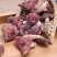 青川野生红菇150g瓶装逸韵风物