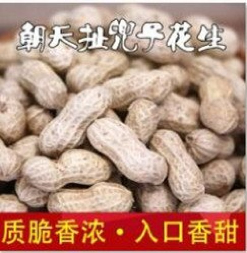 朝天扯篼子花生500g瓶装逸韵风物