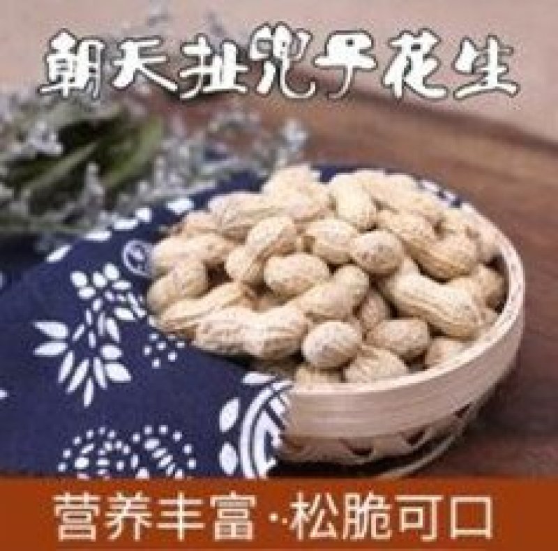朝天扯篼子花生500g瓶装逸韵风物