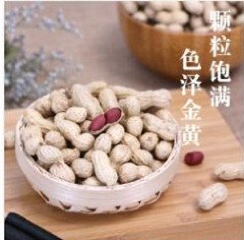 朝天扯篼子花生500g瓶装逸韵风物