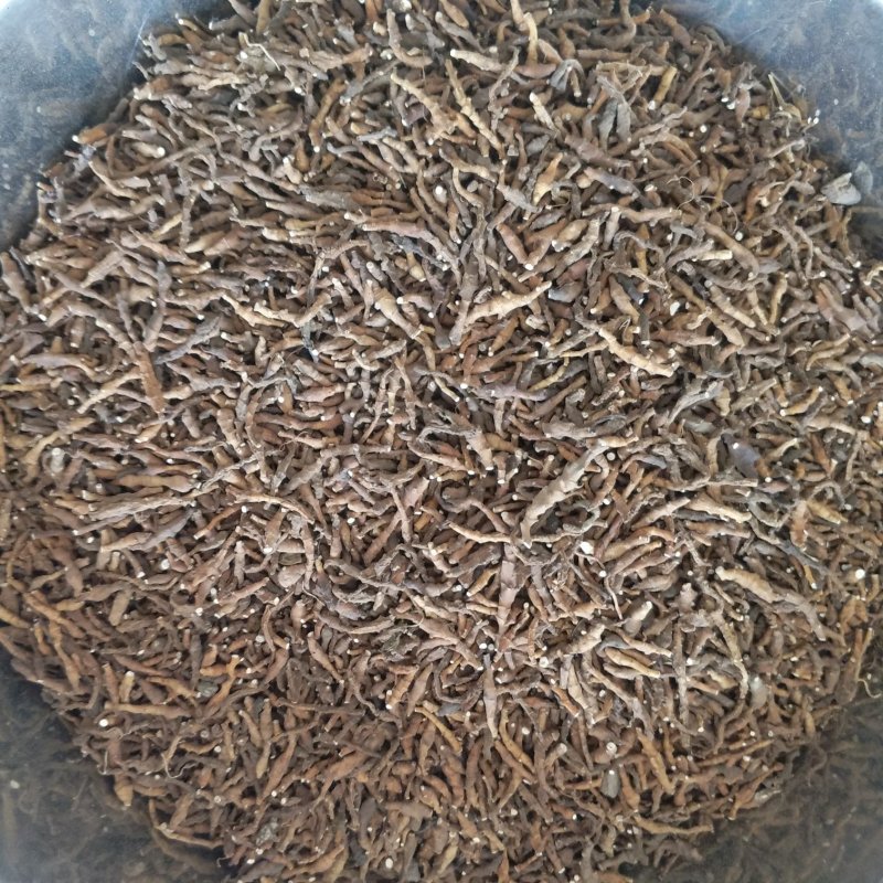 振兴药材批发供应节菖蒲产地直供一手货源全国发