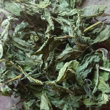 ，薄荷，苏叶