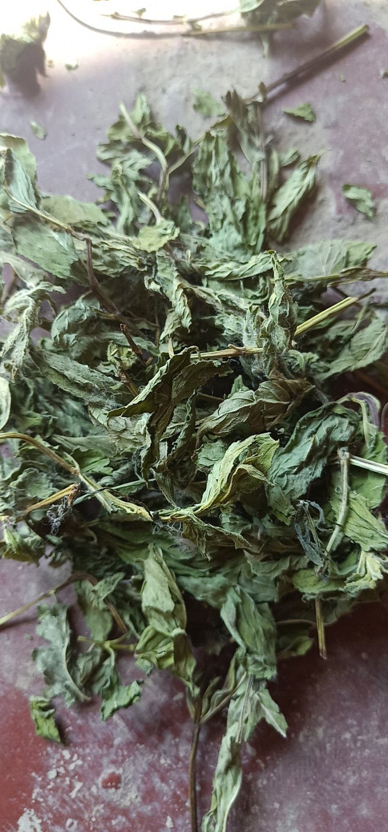 ，薄荷，苏叶
