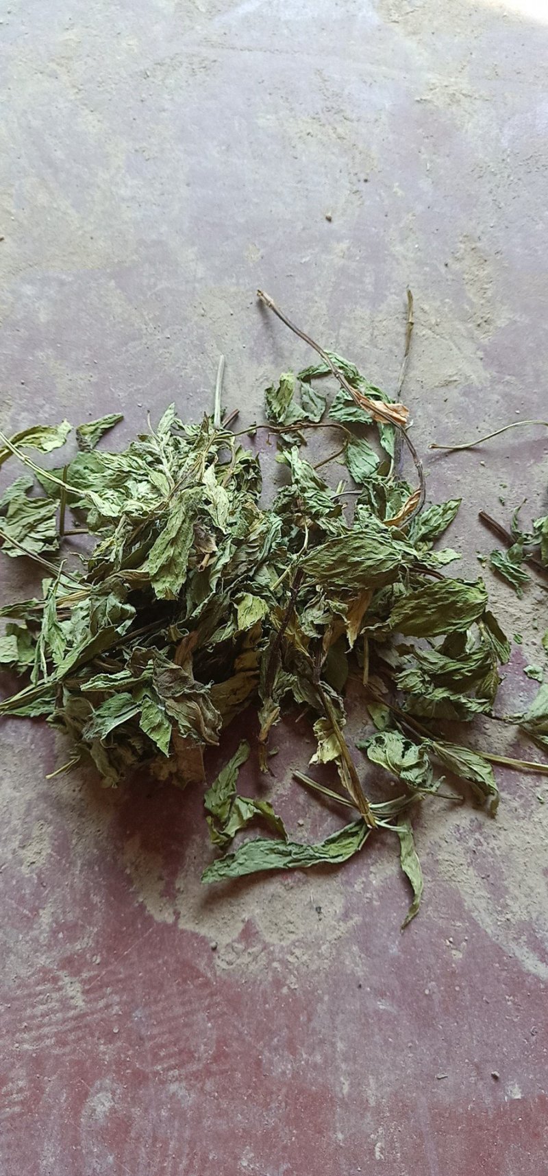 ，薄荷，苏叶