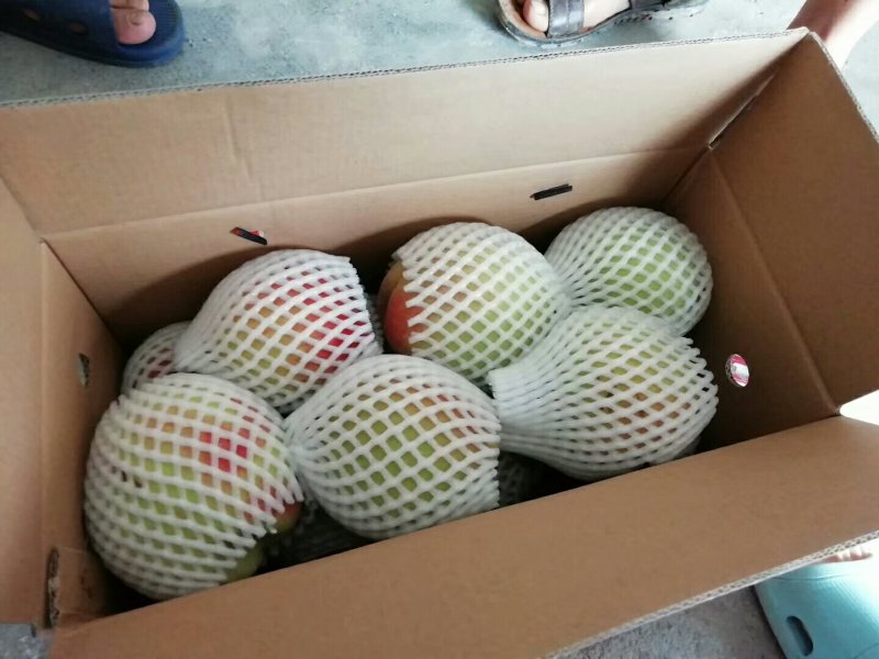 鹰嘴桃一件代发，你负责接单，我负责发货。
