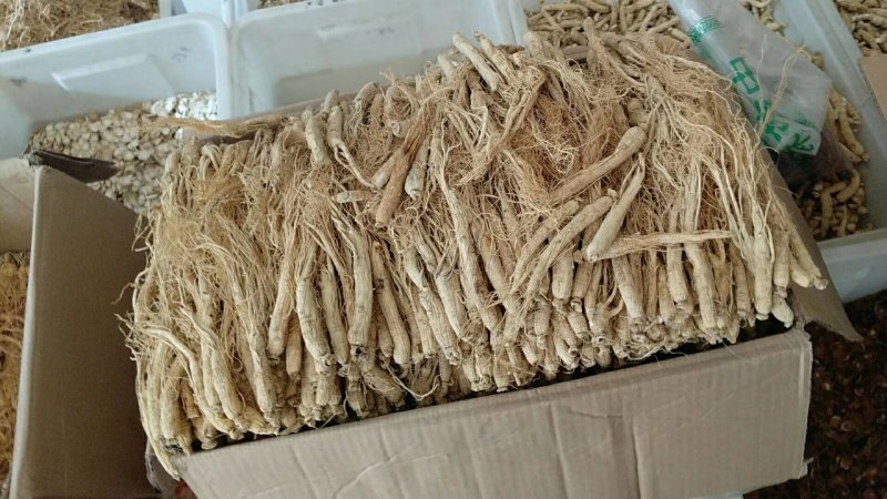 振兴药材批发供应小白参个规格齐全产地直供一手货源全国发货