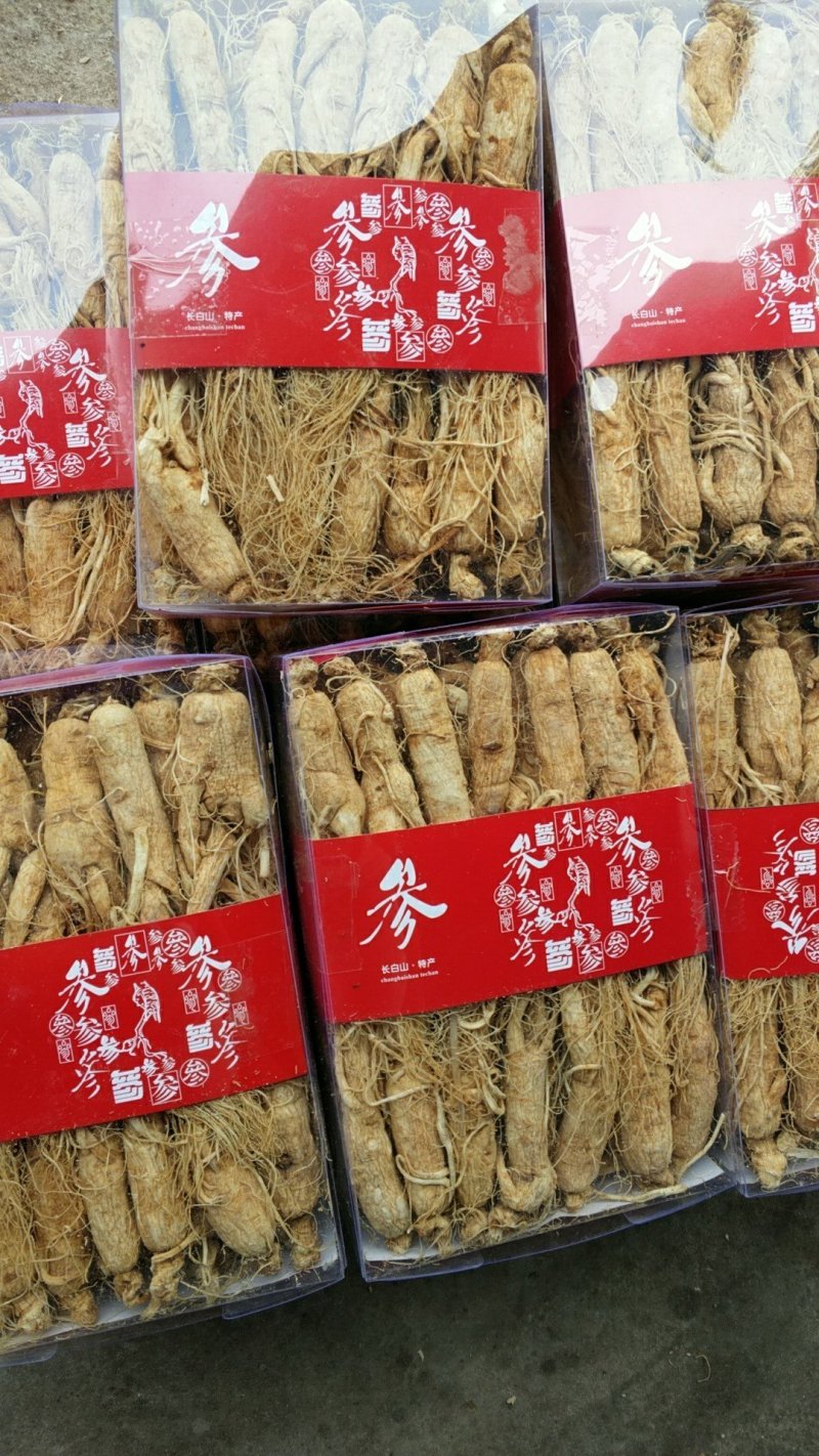 白须参个振兴药材批发供应20-23头白须参个