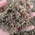 药用蒲公英家种公英蒲公英各种中药材批发质量保证
