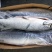 三文鱼鄂挎，太平洋星价格300件以上49.5/KG