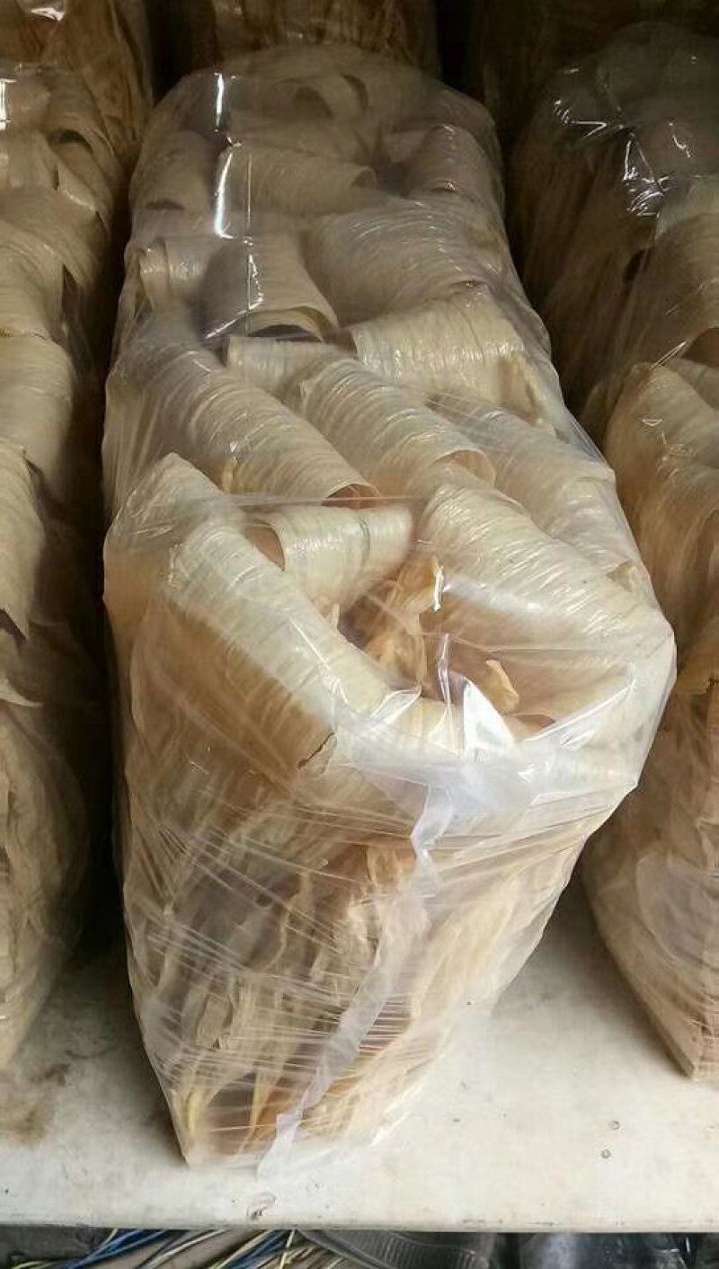 腐竹