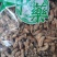 金蝉花一斤包邮各种中药材批发质量保证产地直销