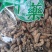 金蝉花一斤包邮各种中药材批发质量保证产地直销
