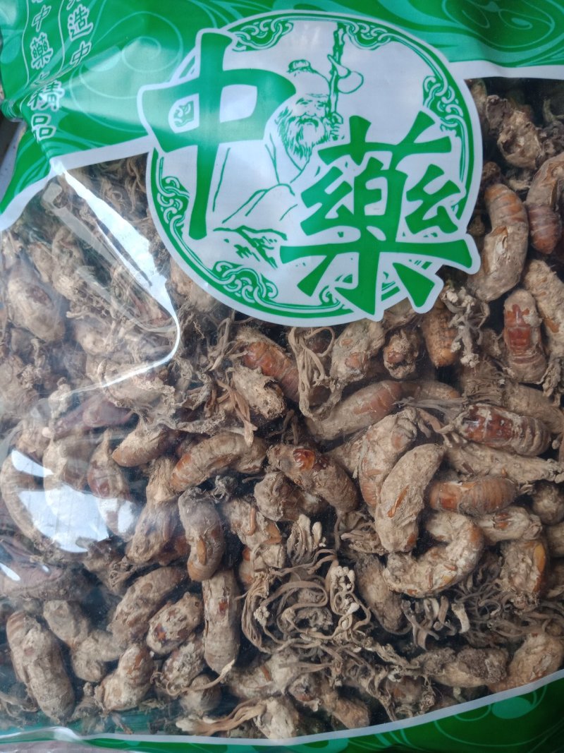 金蝉花一斤包邮各种中药材批发质量保证产地直销