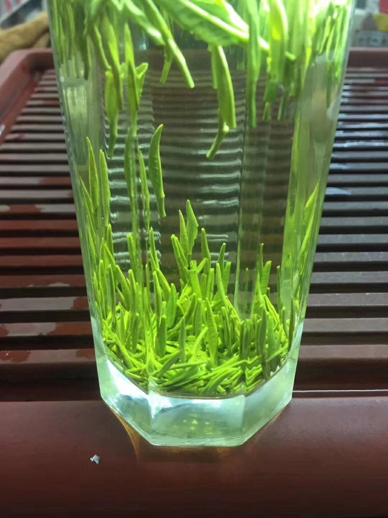 【纯芽绿茶】特级雀舌明前头采2022新茶香醇回甘好