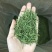 【纯芽绿茶】特级雀舌明前头采2022新茶香醇回甘好