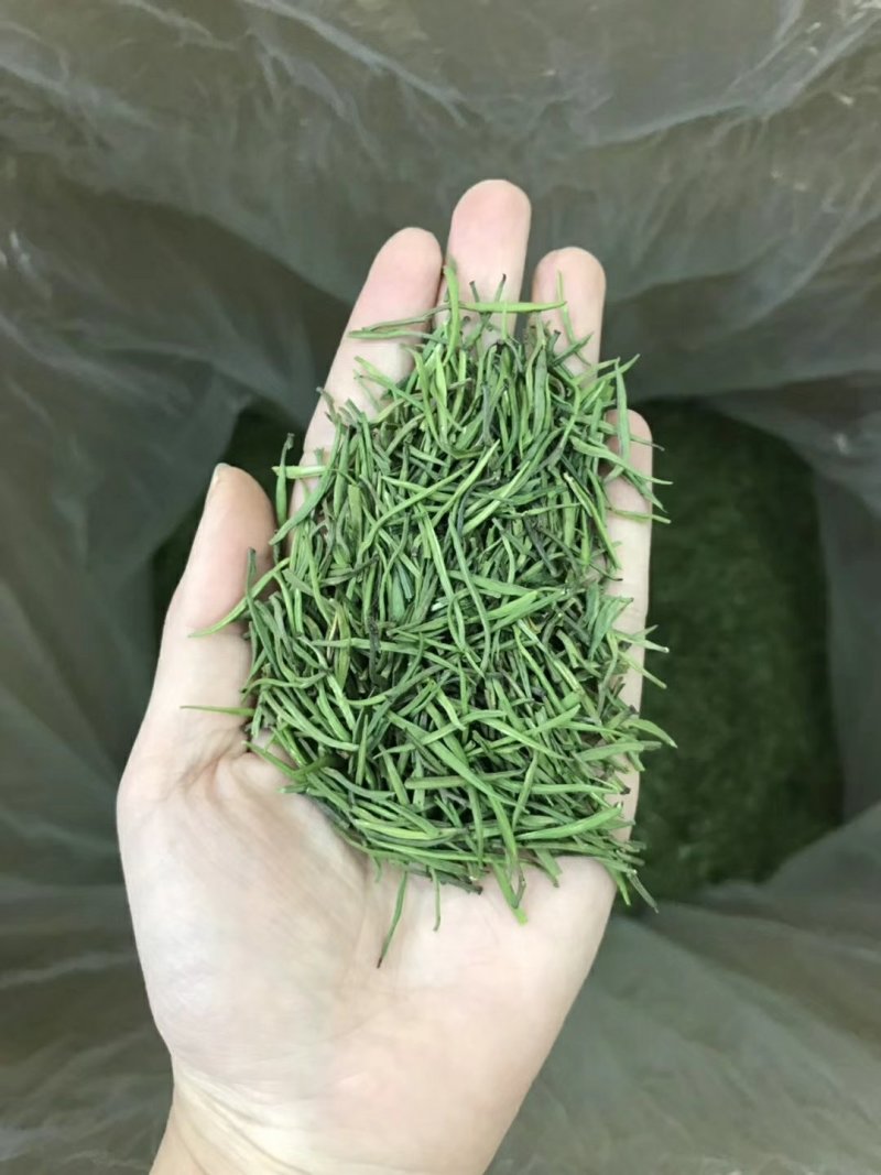 【纯芽绿茶】特级雀舌明前头采2022新茶香醇回甘好