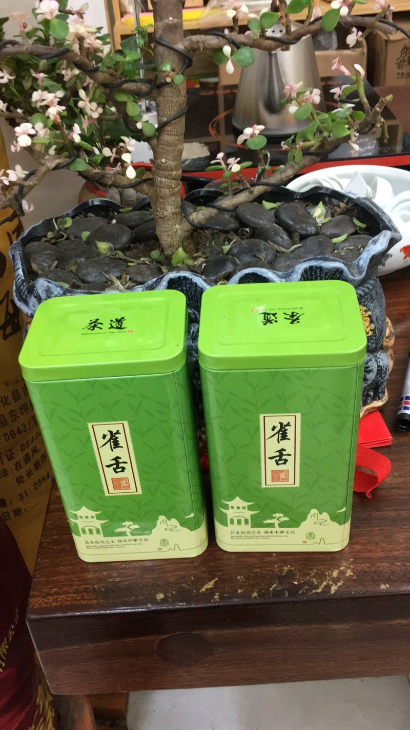 【纯芽绿茶】特级雀舌明前头采2022新茶香醇回甘好