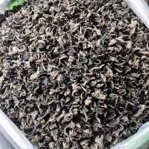 东北木耳、大茘黄花菜
